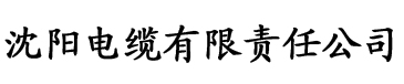 我有无敌神龙系统电缆厂logo